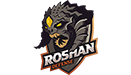 Roshan Defense